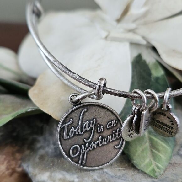 Alex and Ani Silver Charm Bracelet - Picture 2 of 8
